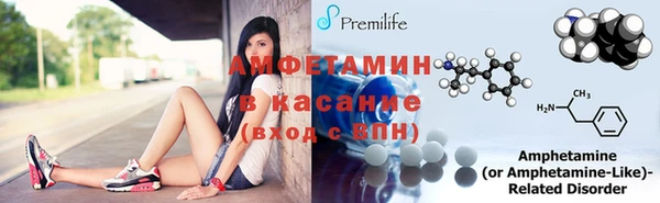 амф Верея