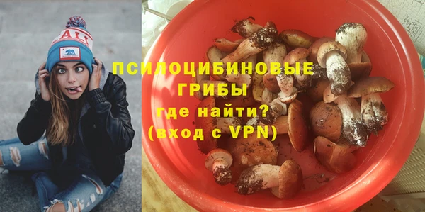 амф Верея